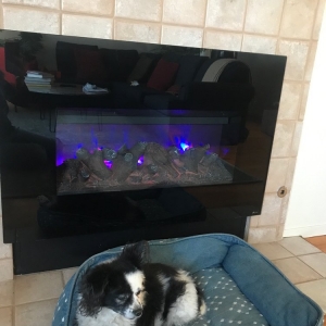 Photo of Safe & Warm Chimney Services