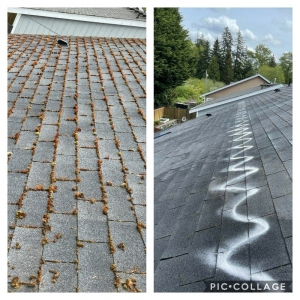 Photo of Grace Roof Cleaning