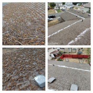 Photo of Grace Roof Cleaning