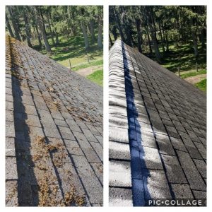 Photo of Grace Roof Cleaning