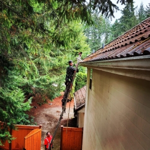Photo of Grace Roof Cleaning
