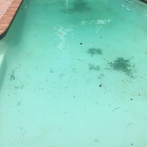 Photo of Davis Affordable Pool Cleaning Service