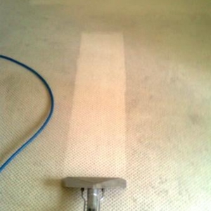 Photo of Dragon Cleaning Services