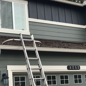Photo of Rainier Window and Gutter Cleaning