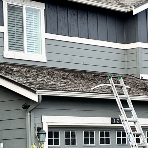 Photo of Rainier Window and Gutter Cleaning