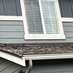 Photo of Rainier Window and Gutter Cleaning