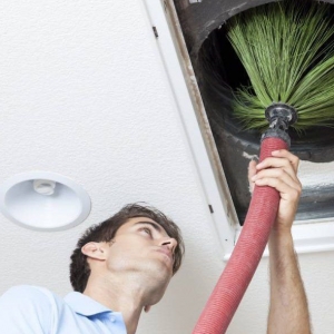 Photo of Organic Home Service