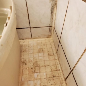 Photo of Restoration 305 Damage Experts