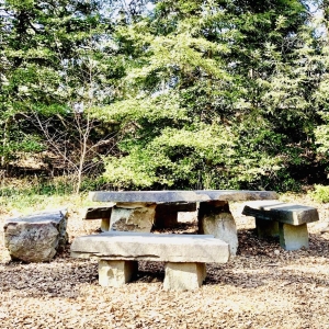 Summit Reeves-Reed Arboretum