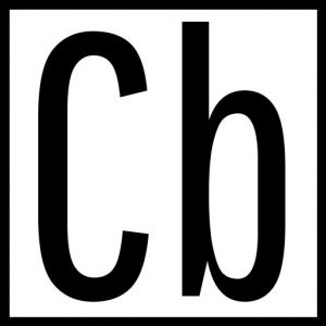 Photo of Chow-Bryant