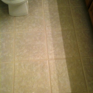 Photo of Carpet Recovery Services