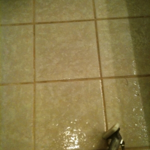 Photo of Carpet Recovery Services