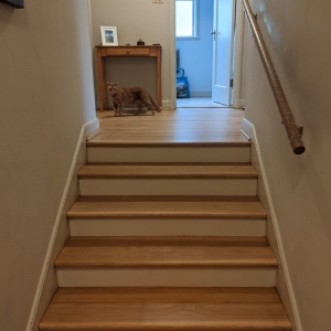 Photo of Pro Tech Hardwood Floor Service