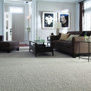 Photo of Reynosa Carpet