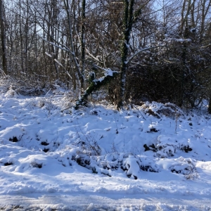 Photo of J'S Gutter Protection Services