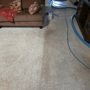 Photo of 1 Choice Carpet Cleaning & Restoration