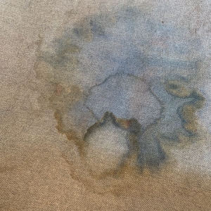 Photo of Dave's Magikist Carpet & Rug Cleaners