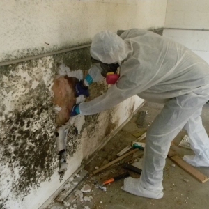 Photo of IDS: Innovative Decon Solutions
