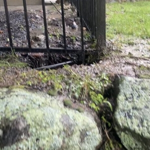 Photo of Carli Fence