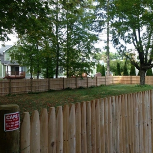 Photo of Carli Fence