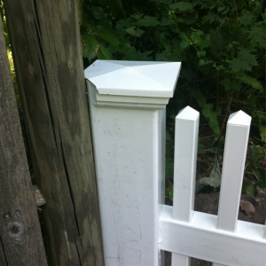 Photo of Carli Fence