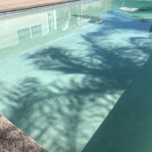 Photo of Quality Pool Service & Repair