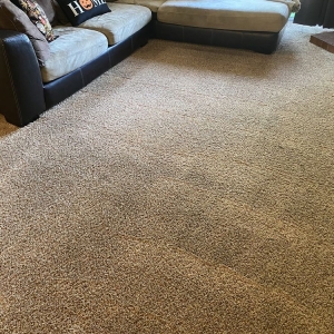 Photo of Dry & Organic Carpet Cleaning