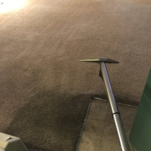 Photo of Dry & Organic Carpet Cleaning