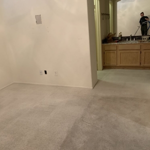 Photo of Dry & Organic Carpet Cleaning