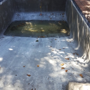 Photo of Way-Lyn Pools