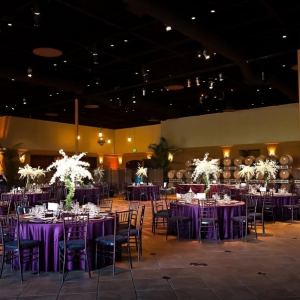 Discovery Bay Exquisite Events