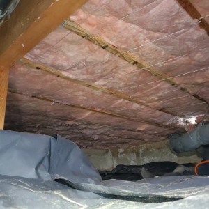 Photo of Batt-Man Insulation