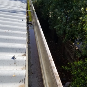 Photo of Zoeys Window and Gutter Cleaning
