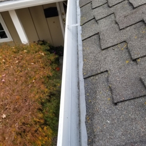 Photo of Zoeys Window and Gutter Cleaning