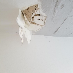 Photo of lv drywall repair