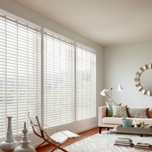 Boston The Blinds Side
