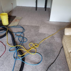 Photo of Aim Carpet & Air Duct Cleaning