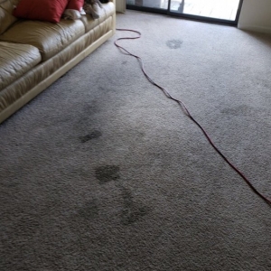 Photo of Aim Carpet & Air Duct Cleaning