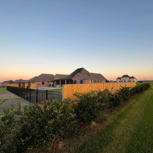 Photo of Southern Fencing