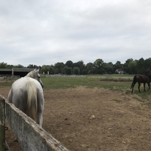 Photo of Hawks Hollow Farm