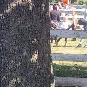 Photo of Hawks Hollow Farm