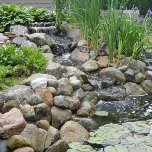 Photo of Phillips Landscaping
