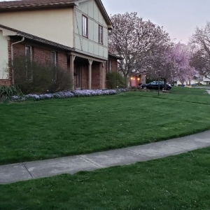 Photo of Brothers Lawn Care Services