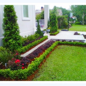 Photo of Absolute Lawn Care & Landscaping