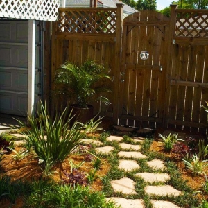 Photo of Absolute Lawn Care & Landscaping