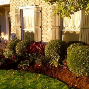 Photo of Absolute Lawn Care & Landscaping