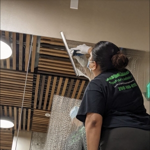 Photo of Squeaky Green Janitorial Services
