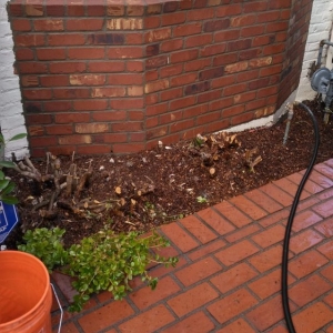 Photo of Portland Chimney