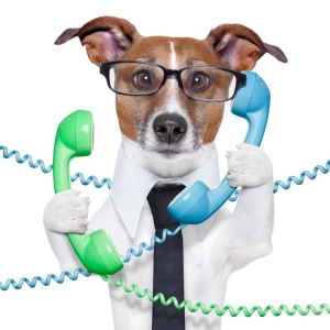 Houston On Hold Marketing Works