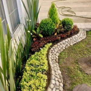 Photo of Mulch n More by John Woodley